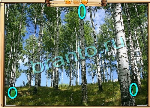 решебник на игру Усатое расследование Уровень 521