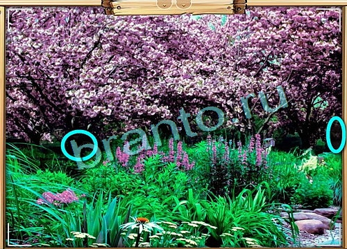 Усатое расследование решения Уровень 522