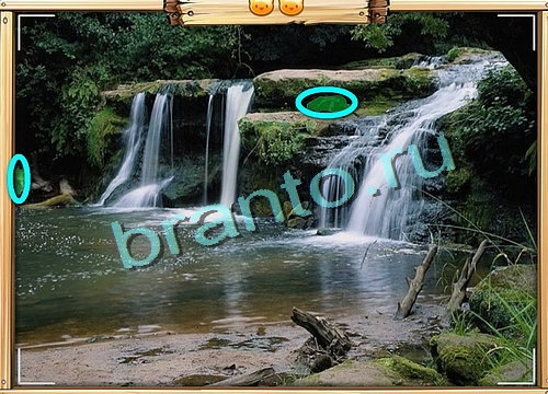 Усатое расследование игра подсказки Уровень 524