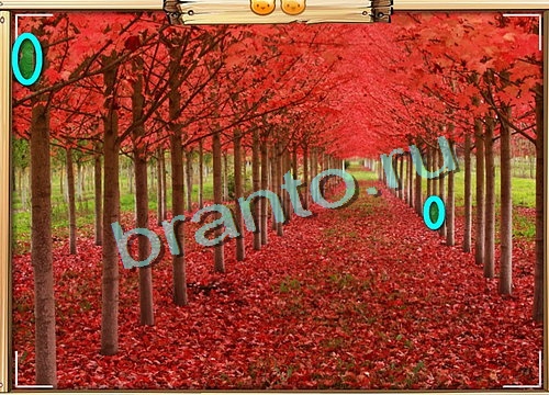 Усатое расследование ответы в картинках в контакте Уровень 526