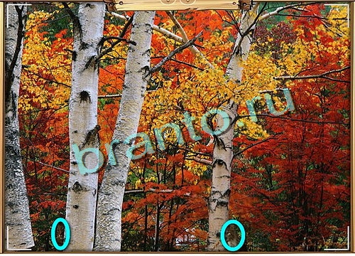 Игра Усатое расследование подсказки вк Уровень 528