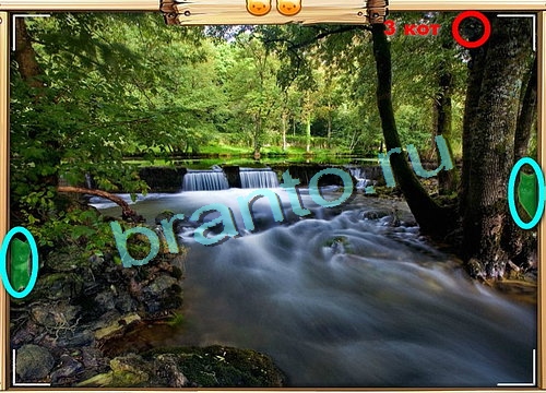 Усатое расследование игра ответы Уровень 533