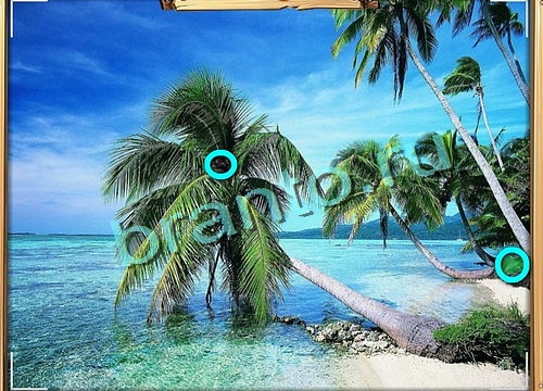 Усатое расследование игра подсказки Уровень 534