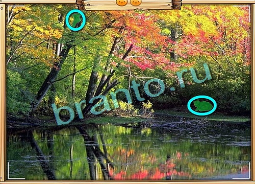 Усатое расследование ответы в картинках Уровень 536