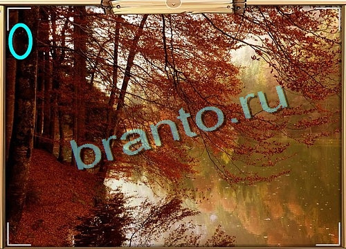 Игра Усатое расследование ответы вконтакте Уровень 537