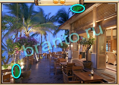 Подсказки на игру Усатое расследование Уровень 572