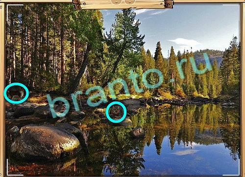 Решения на игру Усатое расследование Уровень 573