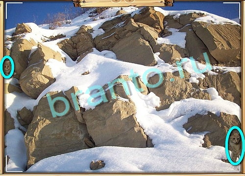 ответы на игру в одноклассниках Усатое расследование Уровень 576