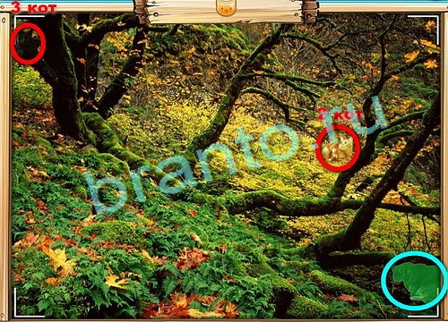 Одноклассники Усатое расследование ответы Уровень 578