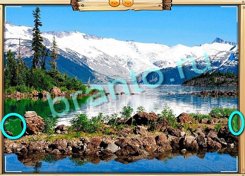 игра Усатое расследование ответ на Уровень 580