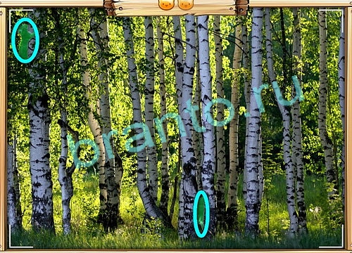 решебник на игру Усатое расследование Уровень 581