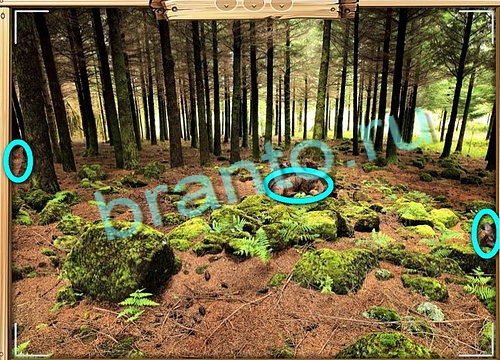 Усатое расследование решения Уровень 582