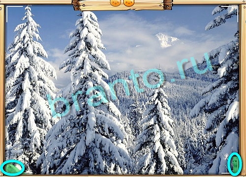 Усатое расследование игра ответы Уровень 583