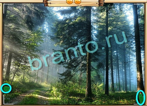 Усатое расследование игра подсказки Уровень 584