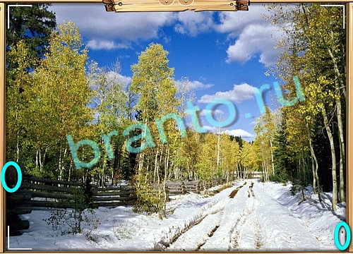 Усатое расследование игра в одноклассниках помощьУровень 585