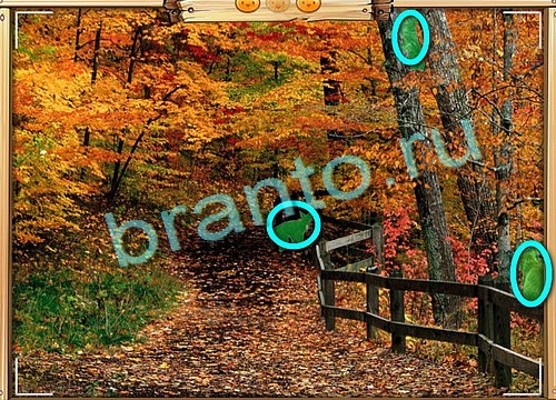 Игра Усатое расследование ответы вк Уровень 587