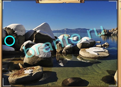 Игра Усатое расследование подсказки вк Уровень 588