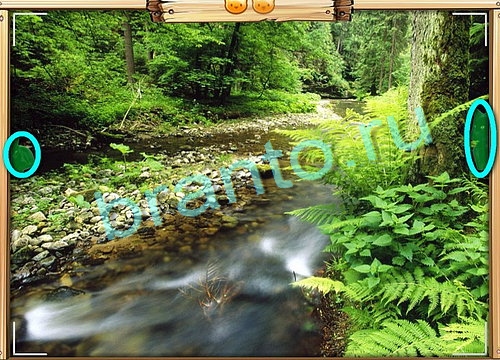 игра Усатое расследование ответы в одноклассниках на Уровень 590