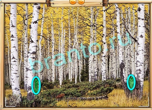 Усатое расследование игра ответы Уровень 593