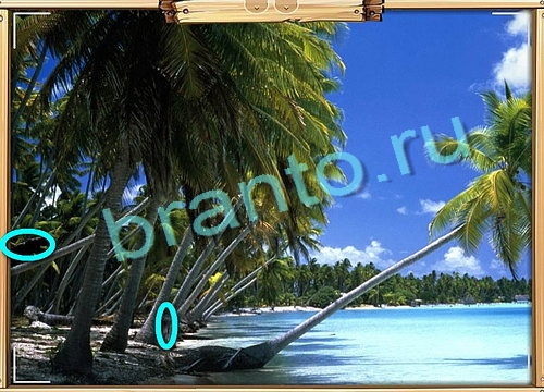 Усатое расследование игра подсказки Уровень 594