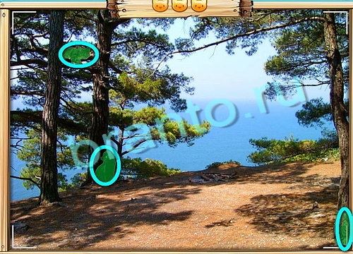 Усатое расследование ответы в картинках Уровень 596