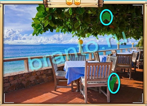 Игра Усатое расследование подсказки вконтакте Уровень 598