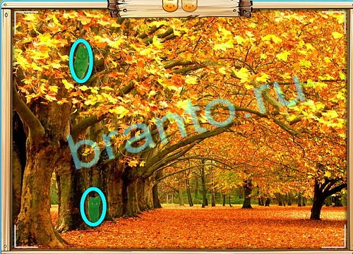 игра Усатое расследование помощь вконтакте Уровень 599