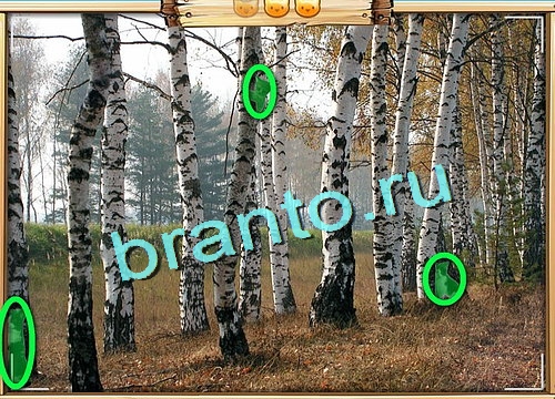 Подсказки на игру Усатое расследование Уровень 602