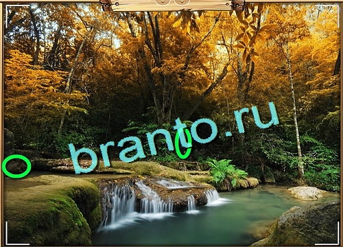 ответы к игре Усатое расследование Уровень 605