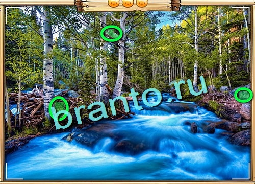 Усатое расследование игра ответы в одноклассниках Уровень 607