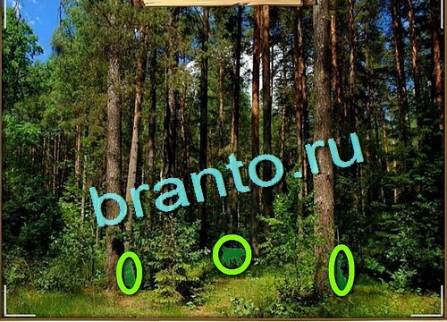 Усатое расследование подсказки в контакте Уровень 609