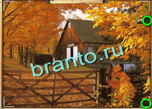 Игра Усатое расследование подсказки вк Уровень 618