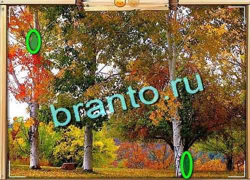 решебник на игру Усатое расследование Уровень 621