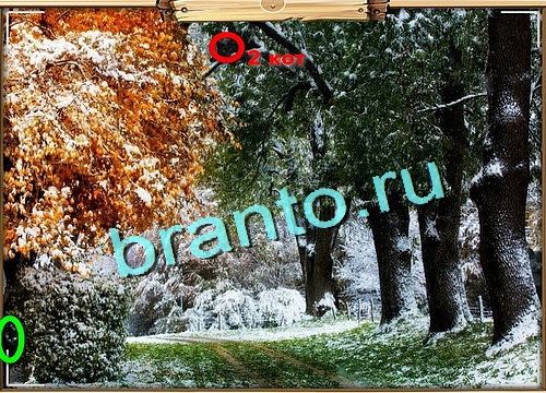 Усатое расследование игра подсказки Уровень 624