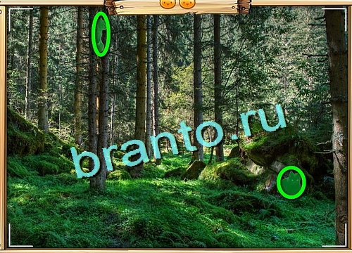 Игра Усатое расследование ответы вконтакте Уровень 627