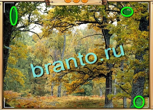 ответы к игре Усатое расследование Уровень 635