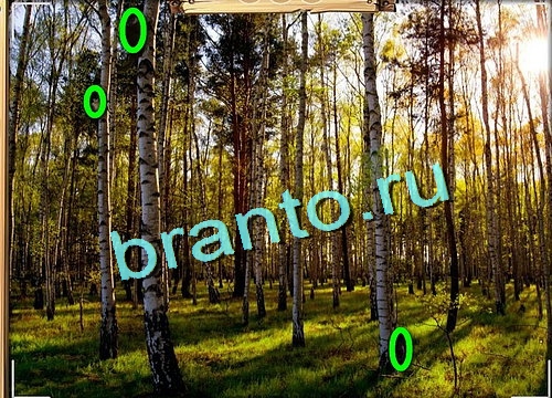 Усатое расследование подсказки в контакте Уровень 639