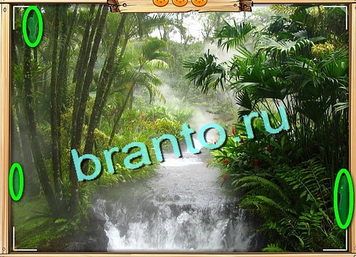 Усатое расследование игра ответы Уровень 643