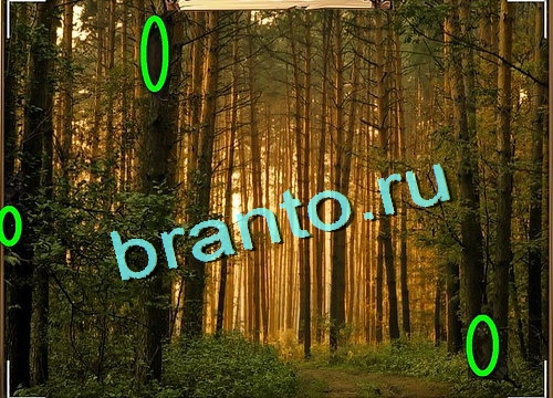 Усатое расследование игра в одноклассниках помощьУровень 645