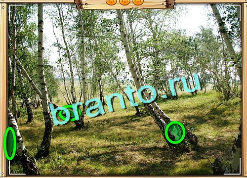 игра Усатое расследование помощь одноклассники Уровень 649