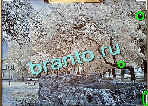 Усатое расследование решения Уровень 652