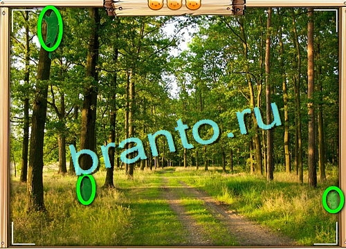 Усатое расследование игра ответы Уровень 653