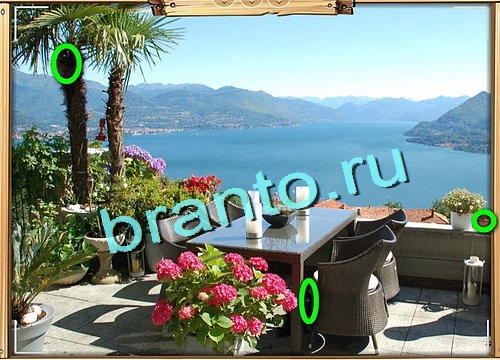 Усатое расследование игра подсказки Уровень 654