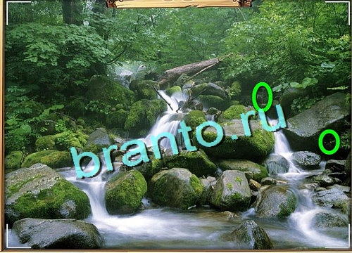 Игра Усатое расследование ответы вконтакте Уровень 657