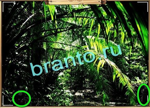 игра Усатое расследование ответ одноклассники на Уровень 660