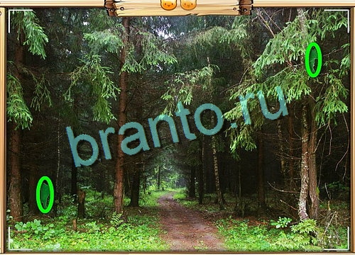 Помощь на игру ВК Усатое расследование Уровень 694