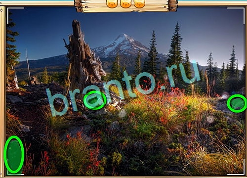 Усатое расследование игра подсказки Уровень 704