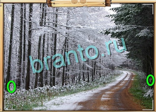 Усатое расследование игра в одноклассниках помощьУровень 705