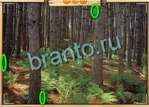 Усатое расследование ответы в картинках в контакте Уровень 706