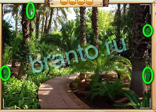 игра Усатое расследование помощь одноклассники Уровень 709